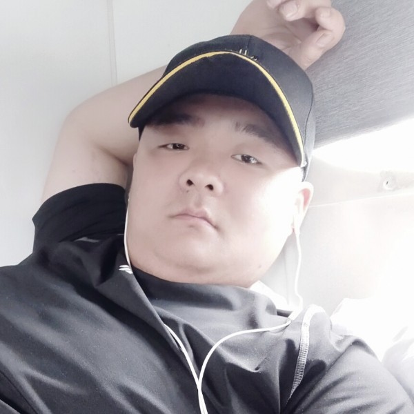 菠萝苦恋精明的照片