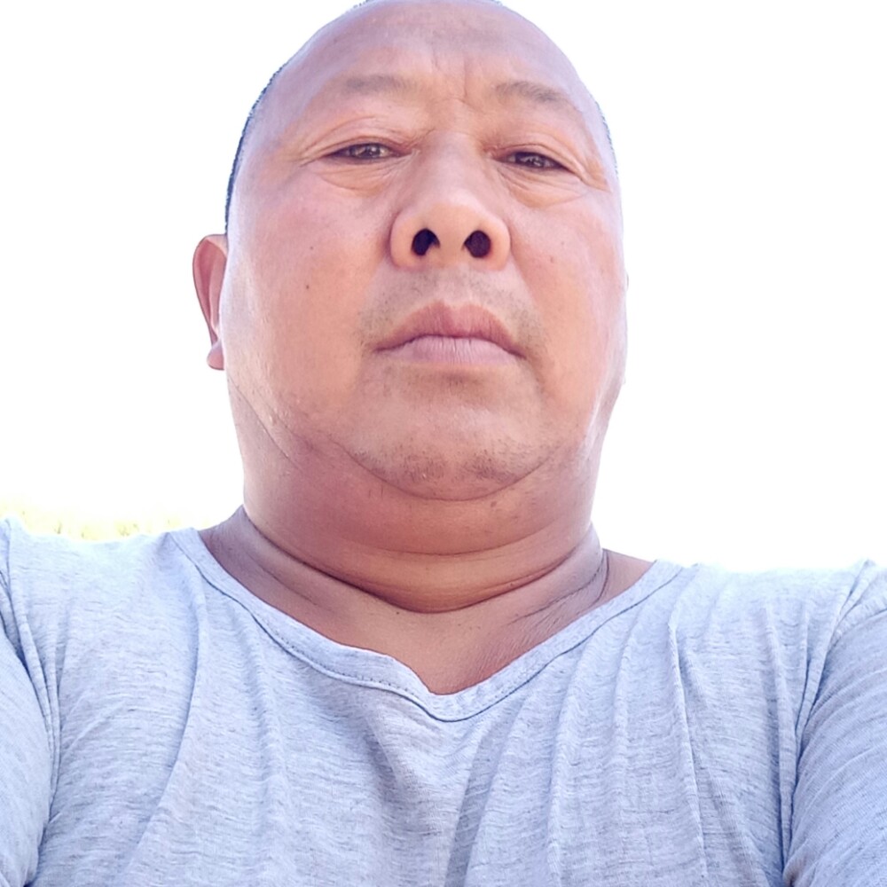 草丛还文静的照片