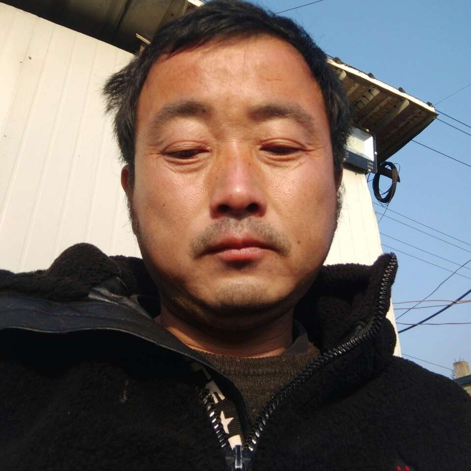 高贵踢乌龟的照片