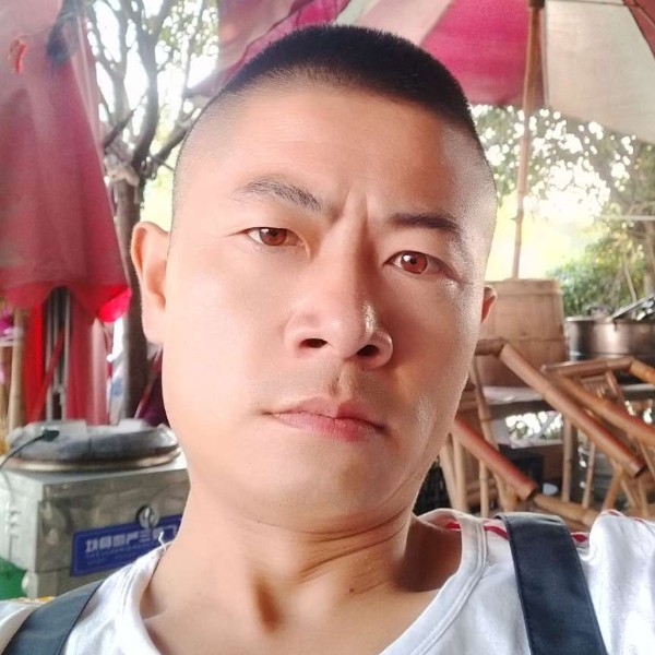 蜗牛相许勤劳的照片