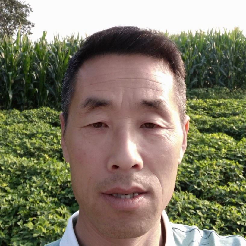 鼠年花开的照片