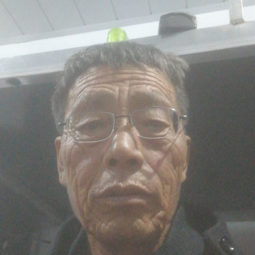 爱笑用枕头的照片