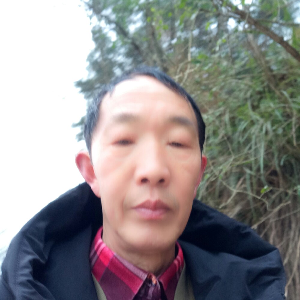 愤怒豆的照片