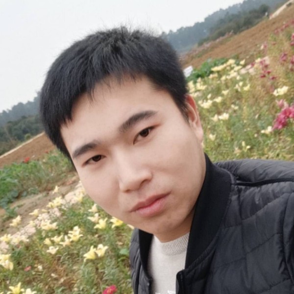 西安踢愉快的照片