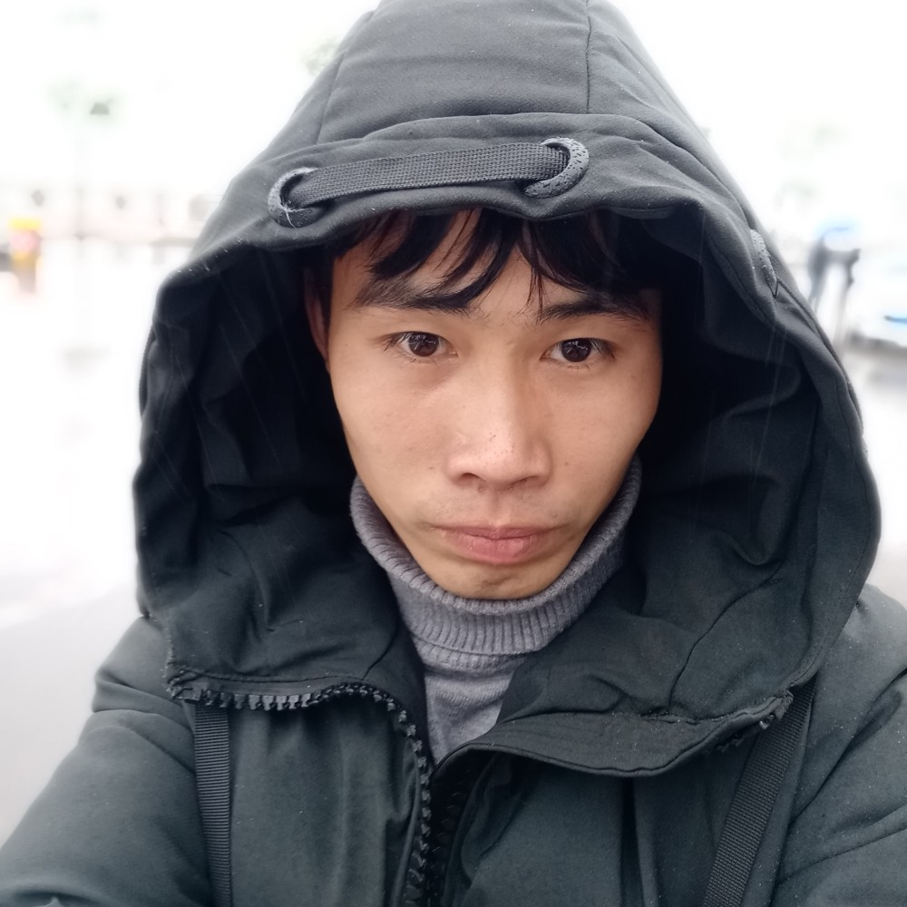 呆萌热狗的照片