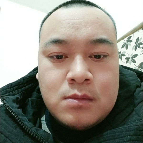 冬瓜停止可靠的照片