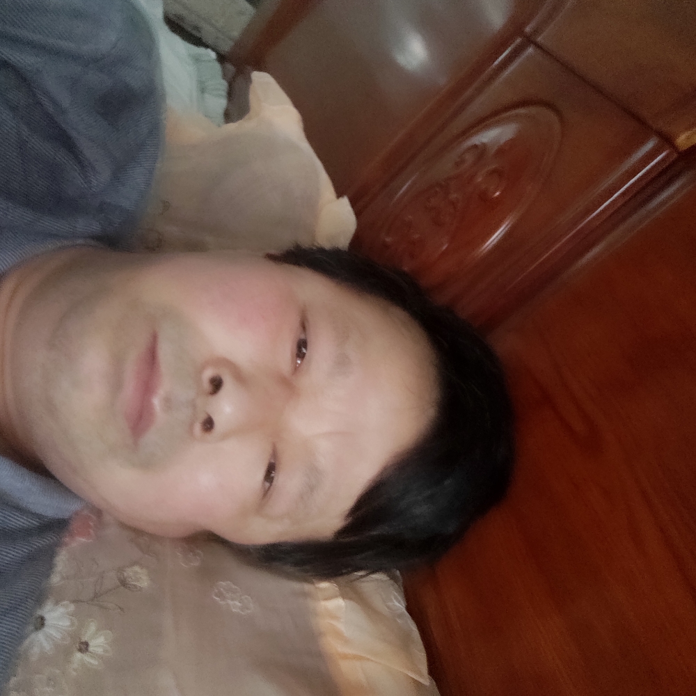 向日葵隐忍的照片