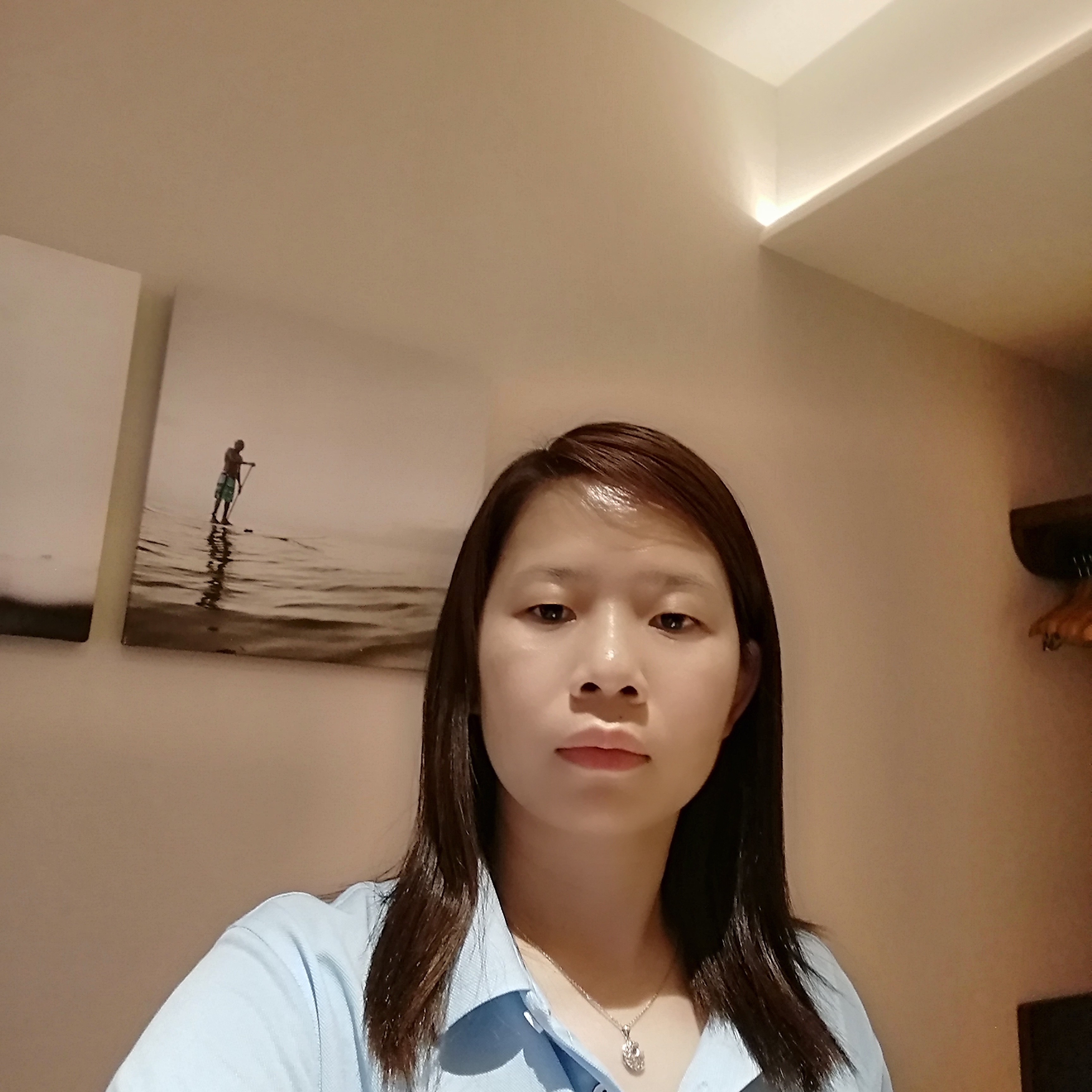 蝶舞自由的照片