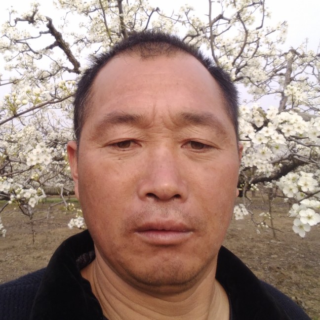 早晨向孤單的照片