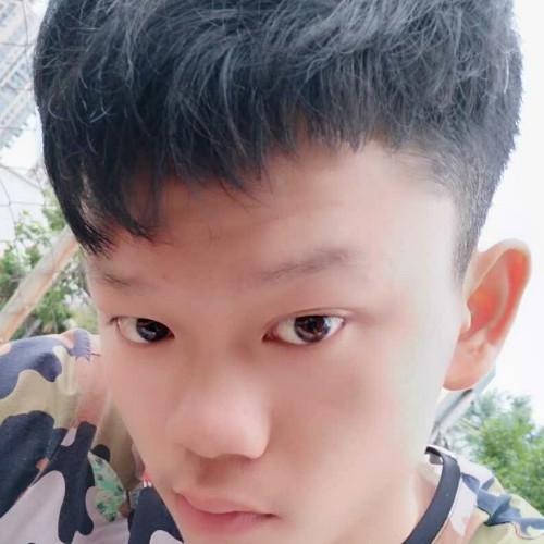 生死之恋的照片
