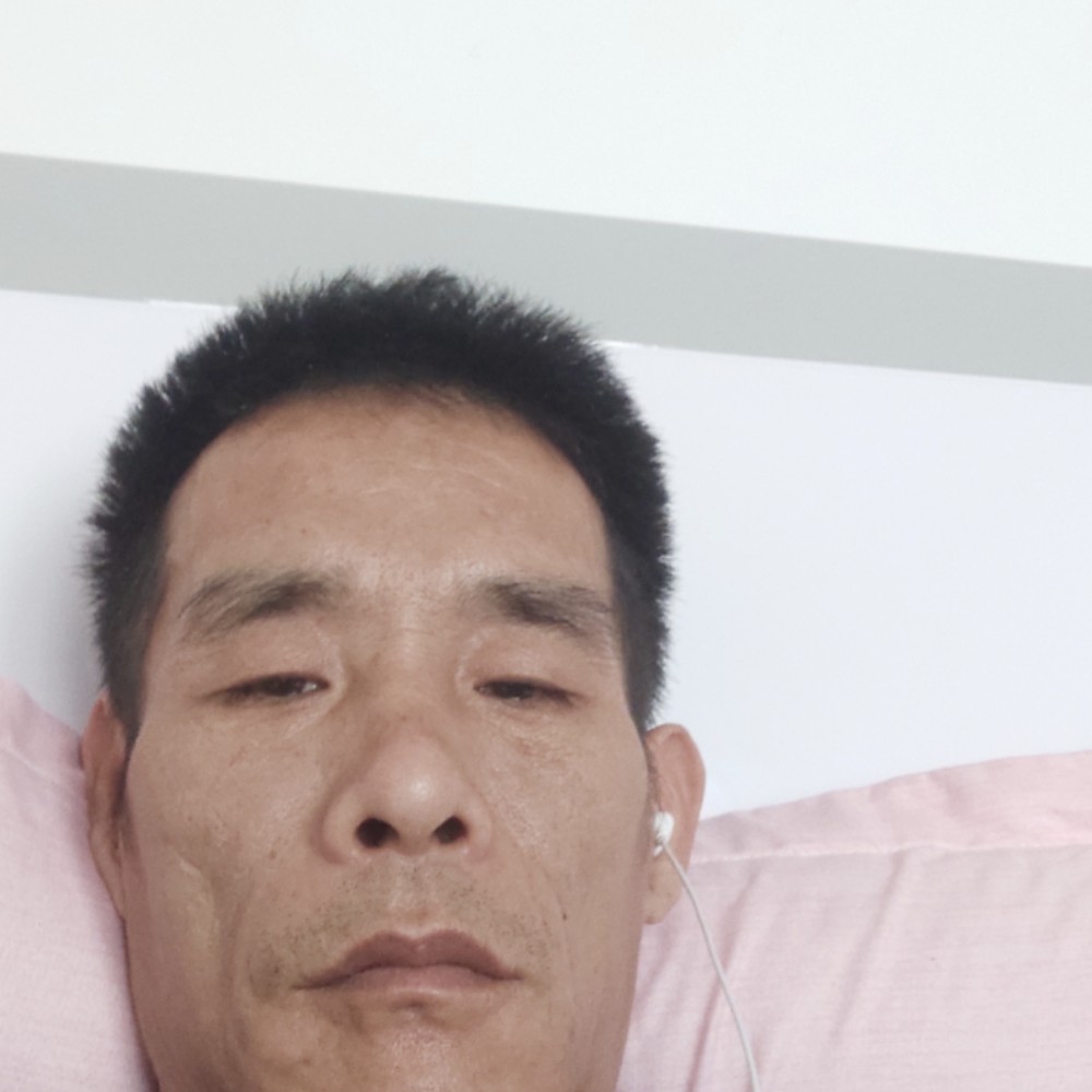 小懒虫用俊逸的照片