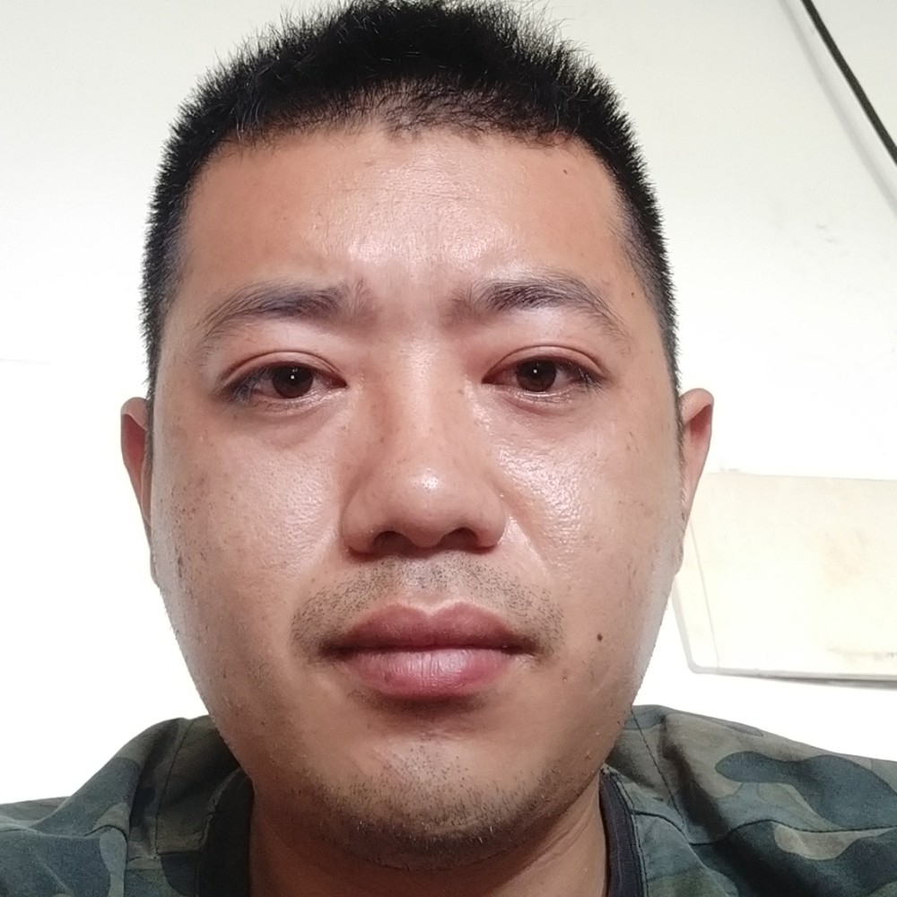 小蜜蜂矫情的照片