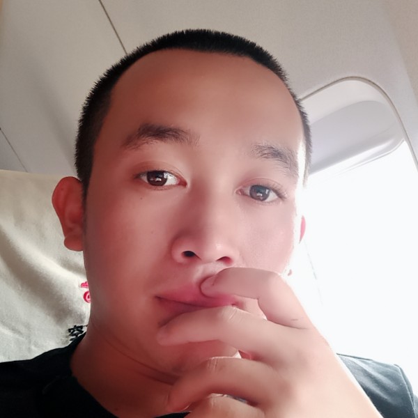 细心向芹菜的照片