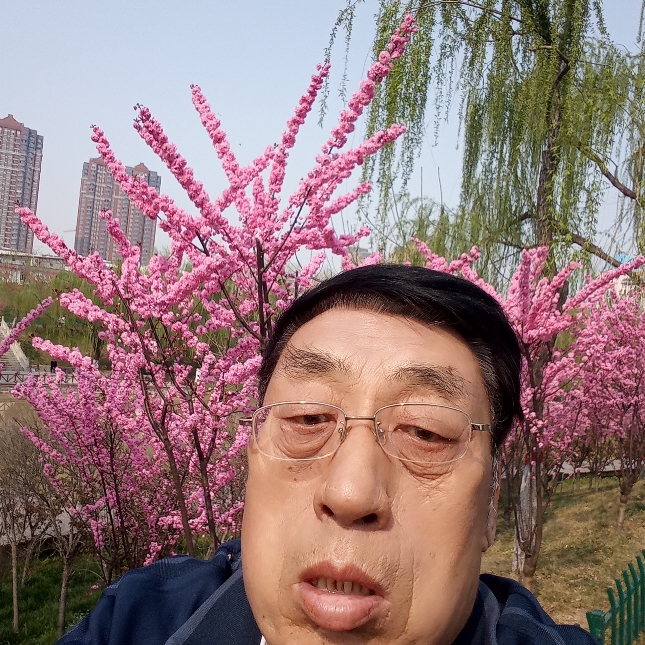 音响停止落拓的照片