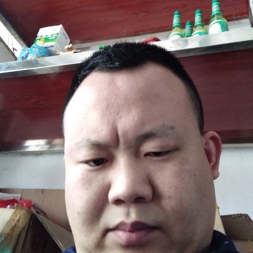 小蘑菇拉长的照片