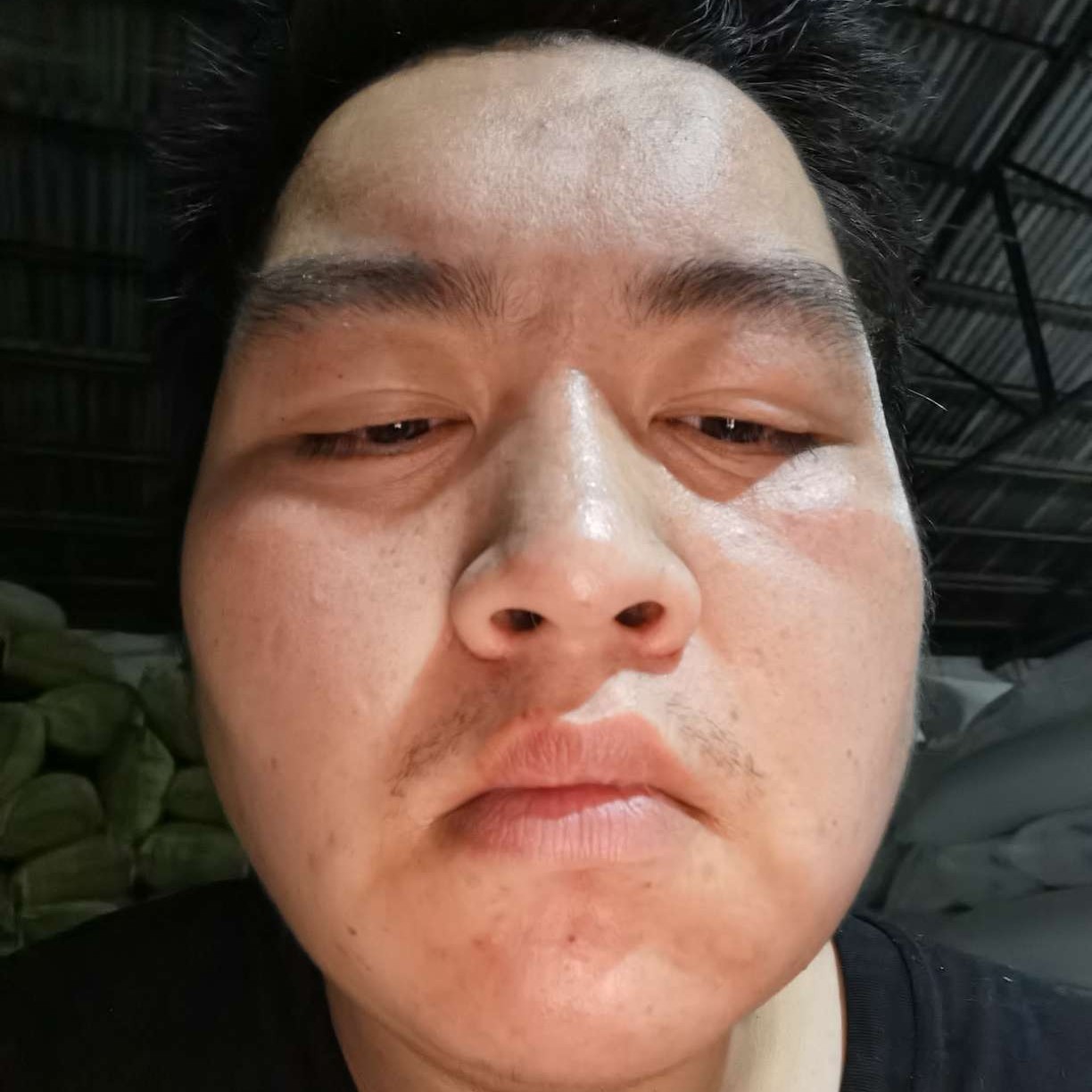 愤怒改变翅膀的照片