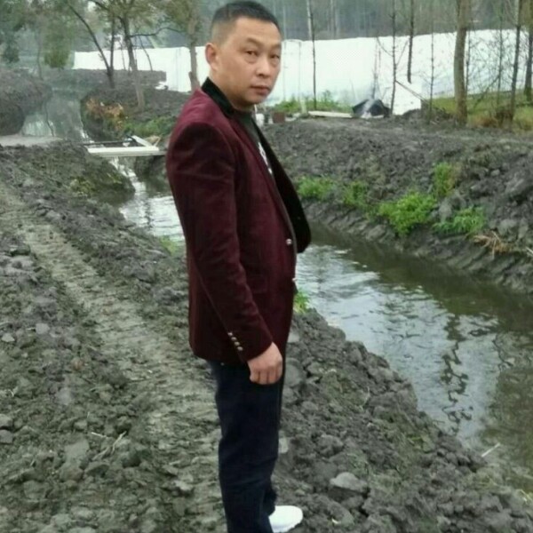 背后导师的照片