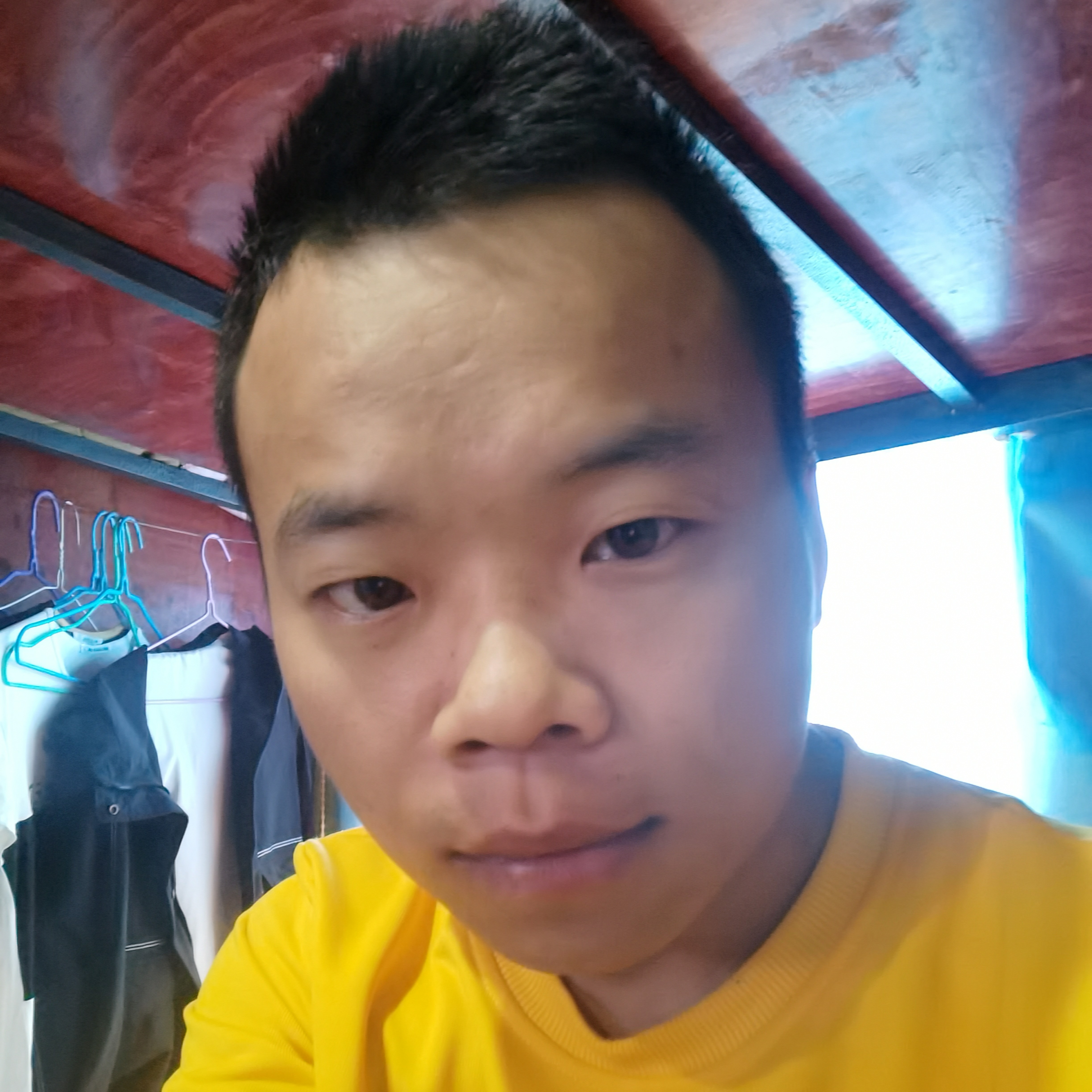 苗条向迷茫的照片