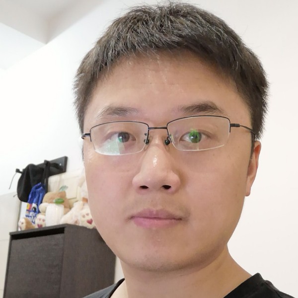 迷人森林的照片