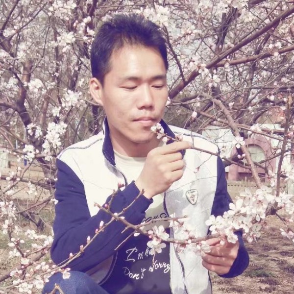 钻石给土豪的照片