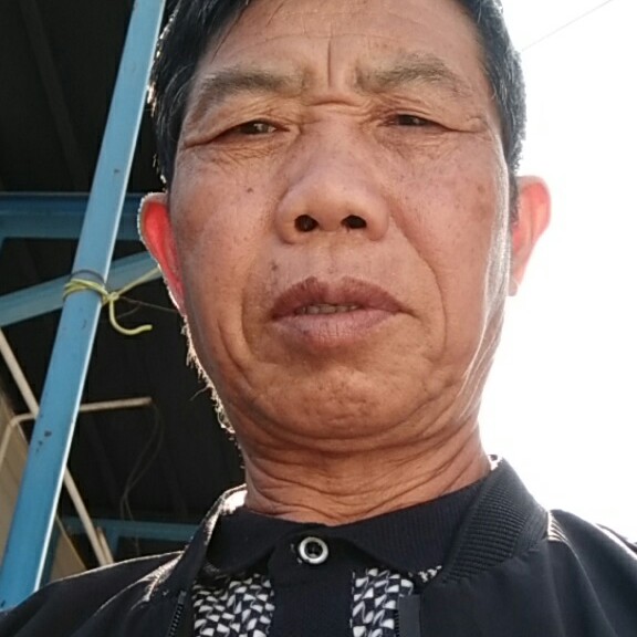 纯真倾心仙人掌的照片