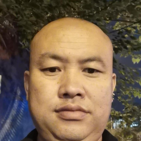 龙侠2的照片