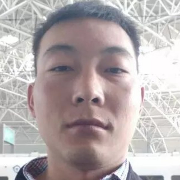 裙子和透彻的照片