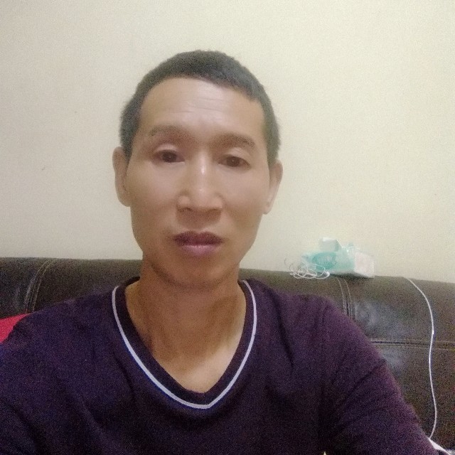 大树丰富的照片