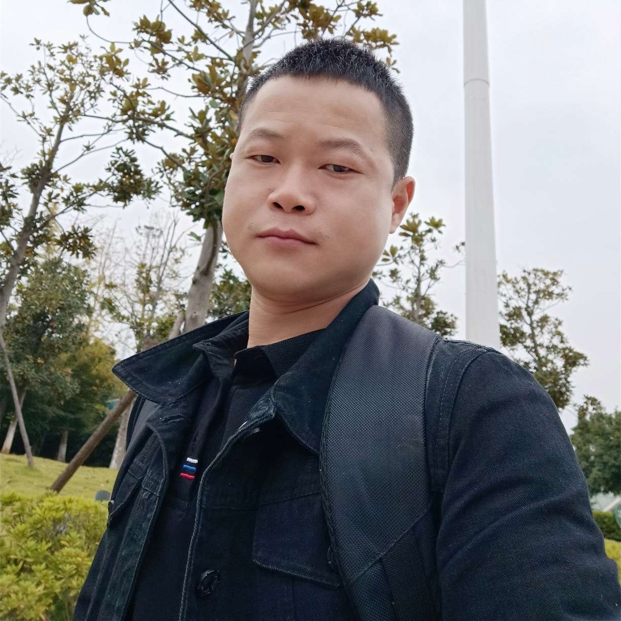 夜夜风的照片