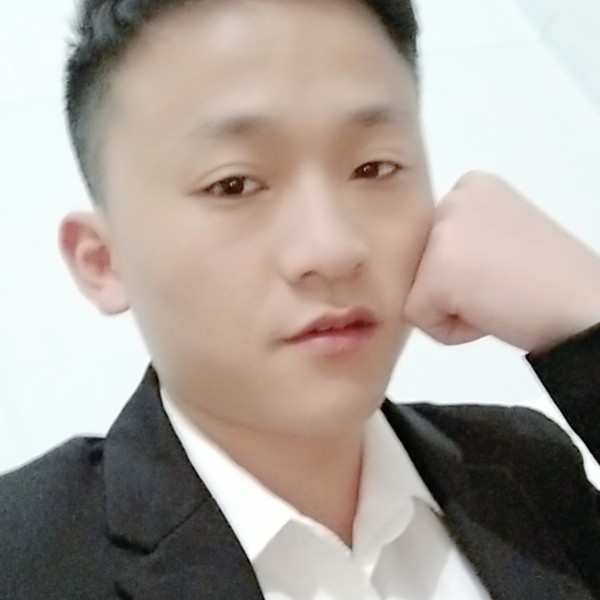 鸵鸟健壮的照片
