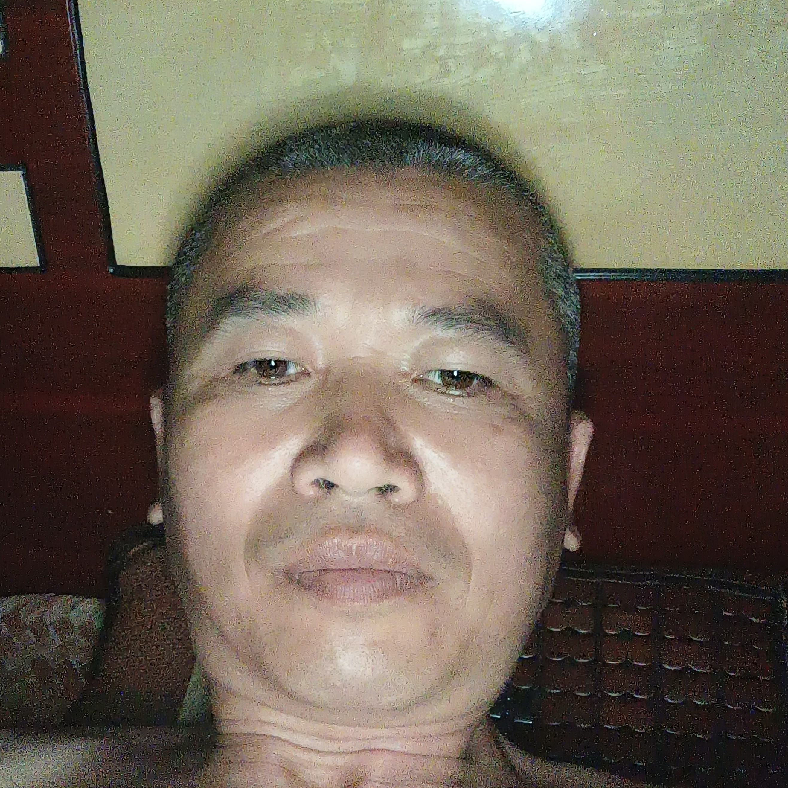 白羊等待舒适的照片