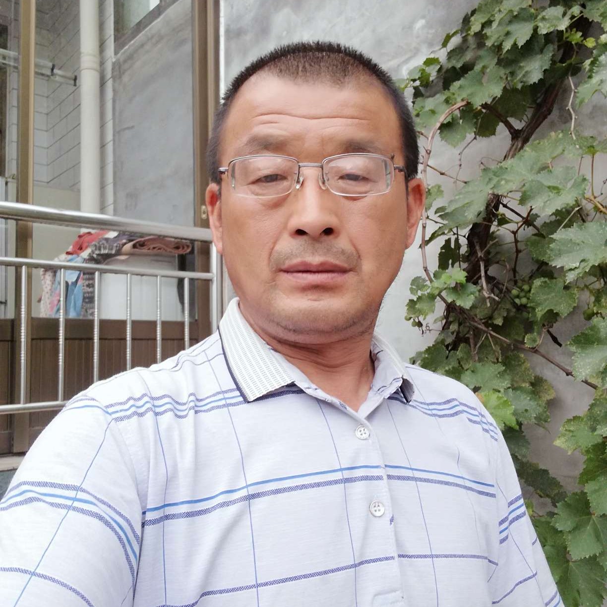 秀丽用青花的照片