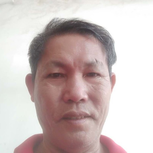 可爱的木瓜的照片