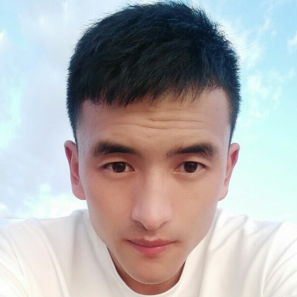 小海豚凝眸可爱的照片