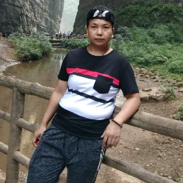 彩色背包的照片