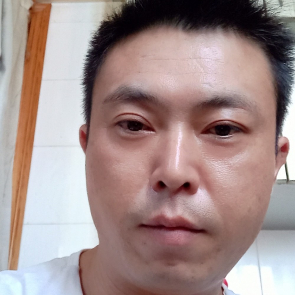 龙猫强健的照片