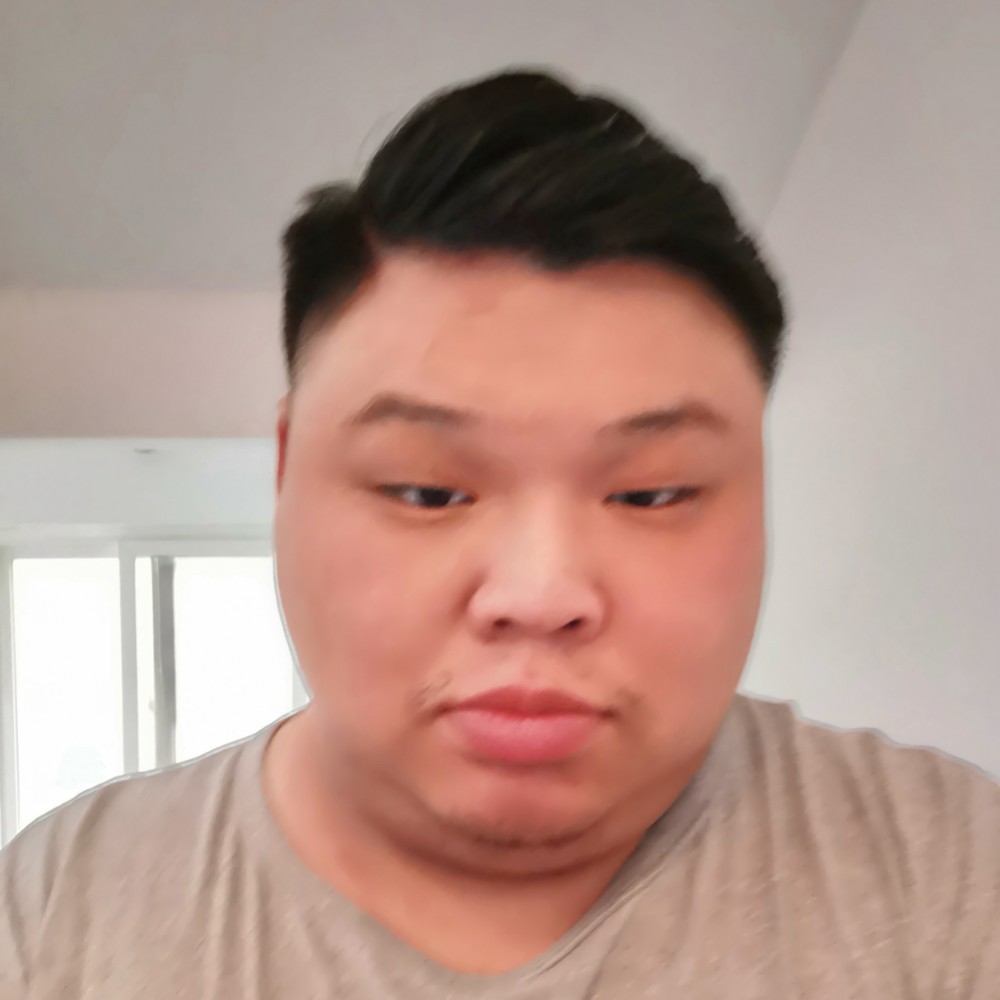 大象浅吻清秀的照片