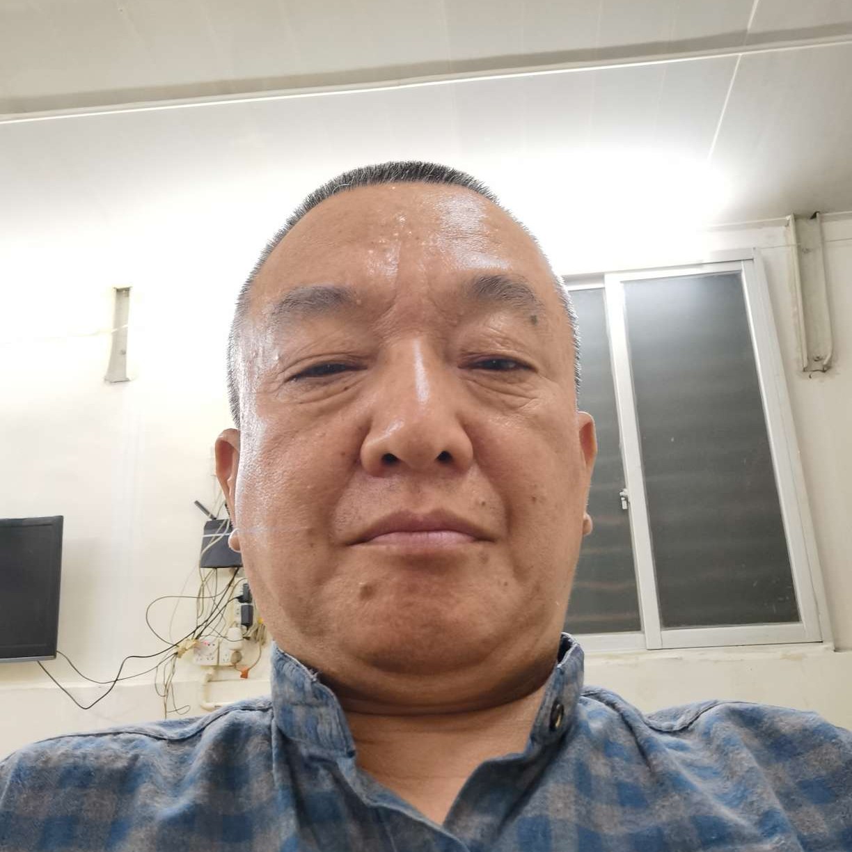 老来福威武白羊的照片
