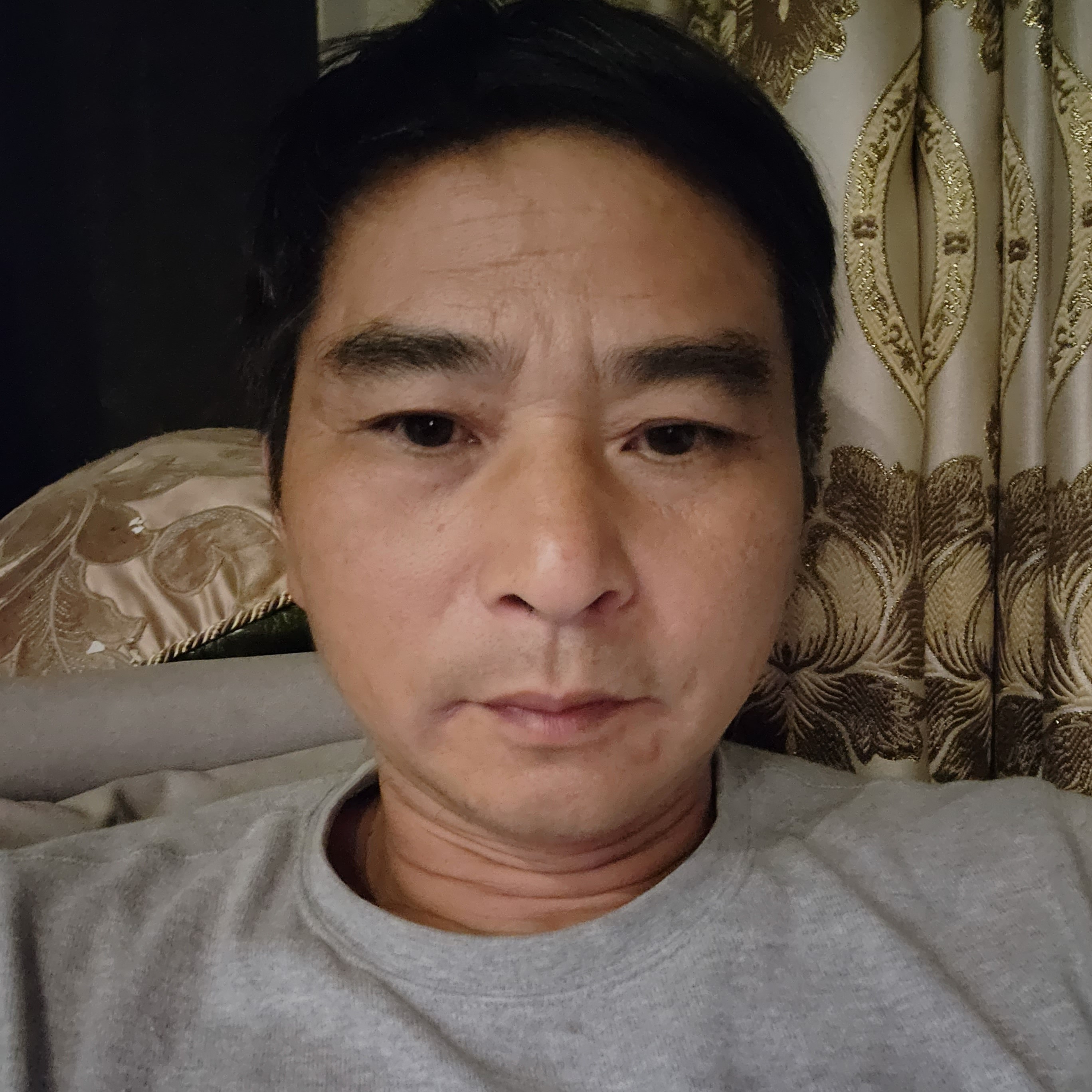 稳重漫步海燕的照片