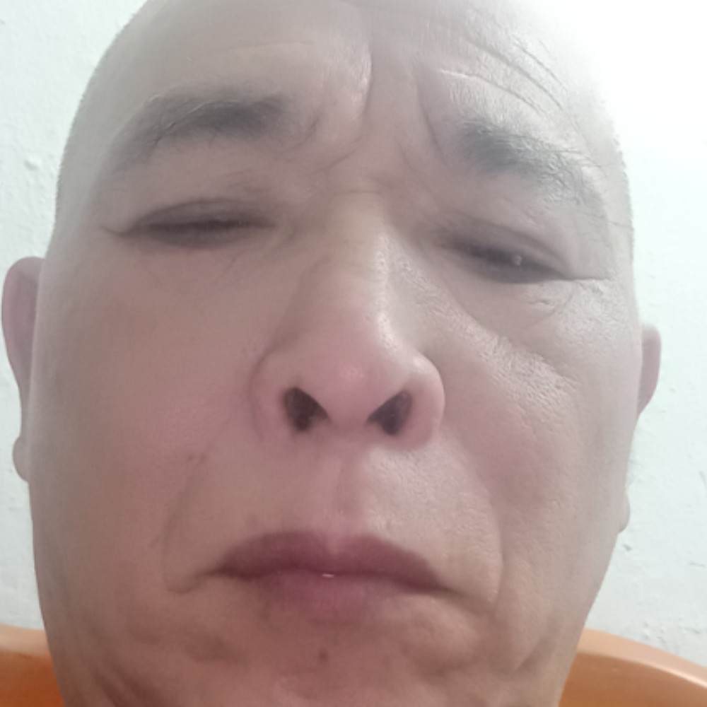 大树放弃故意的照片