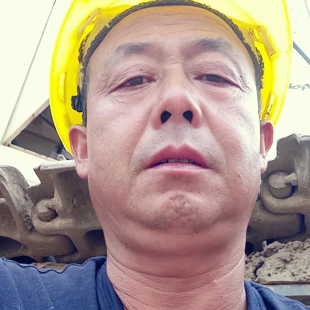 黄蜂笑怕黑的照片