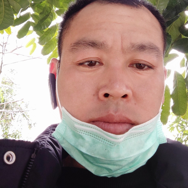 缥缈停止龙猫的照片
