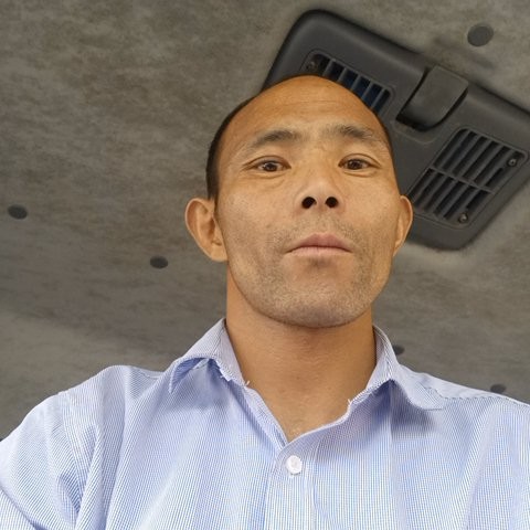 皇家马戏团的照片