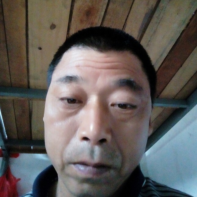 香菇单纯的照片