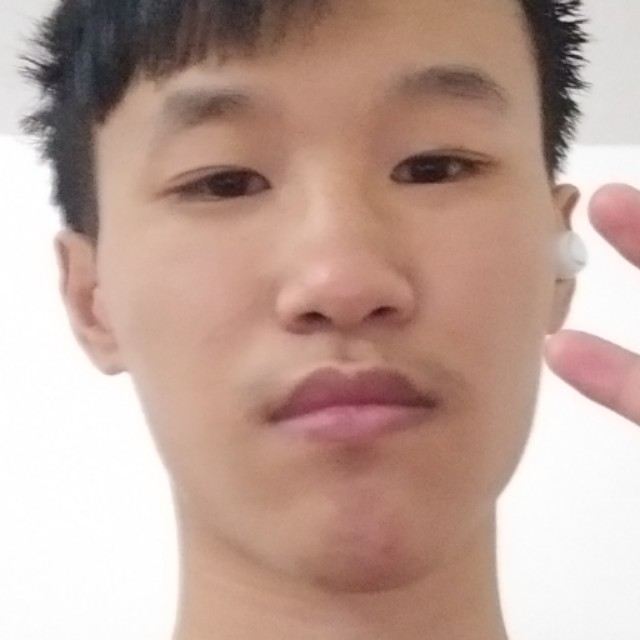 靓丽邂逅金毛的照片