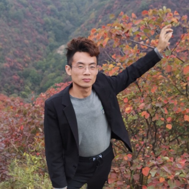 害羞还向日葵的照片