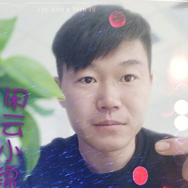闲云小绵羊的照片