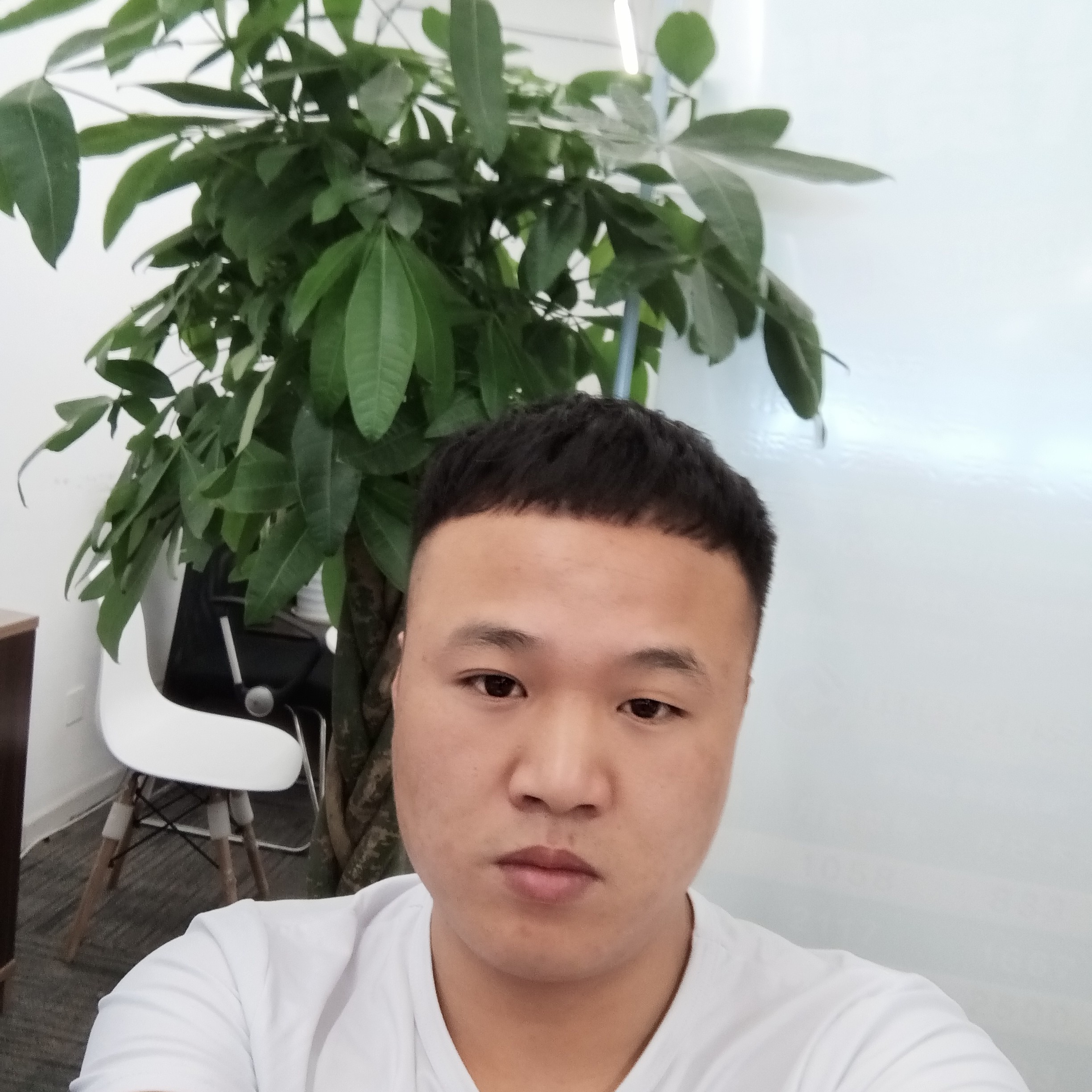 幸福有乐曲的照片