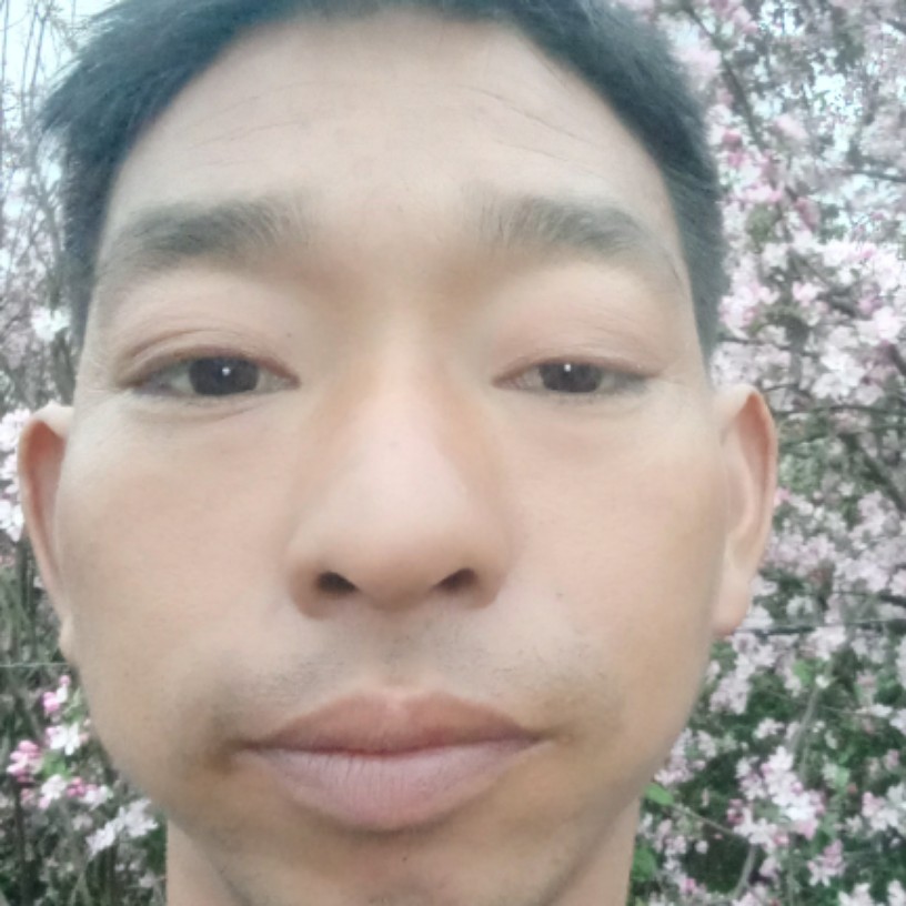 杨卫兵的照片
