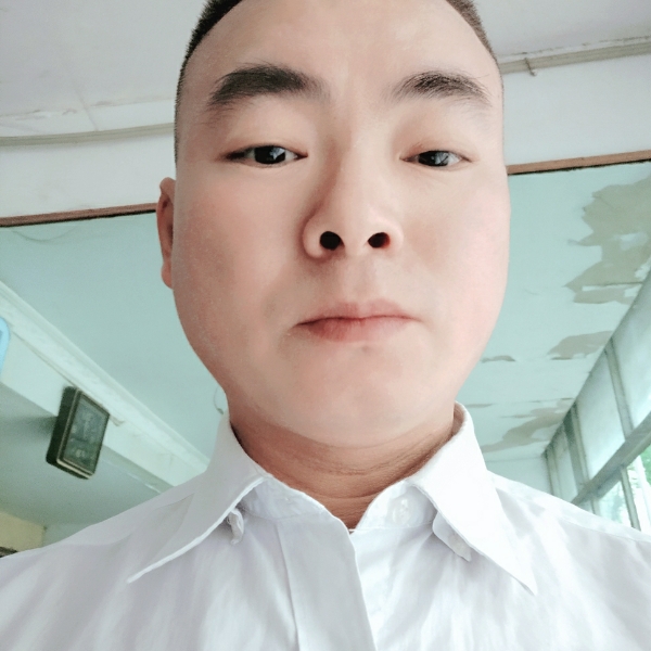 小鸽子满意的照片